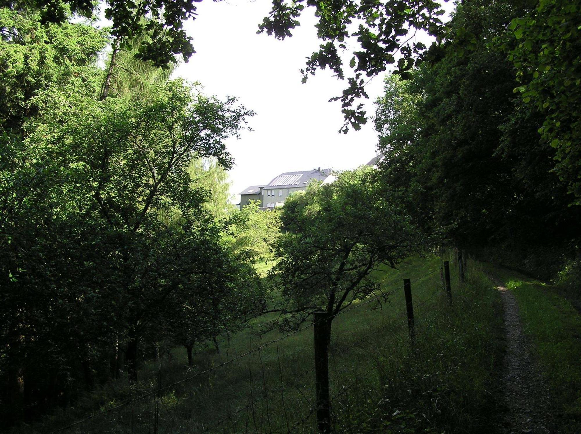 Nisius Apartment *